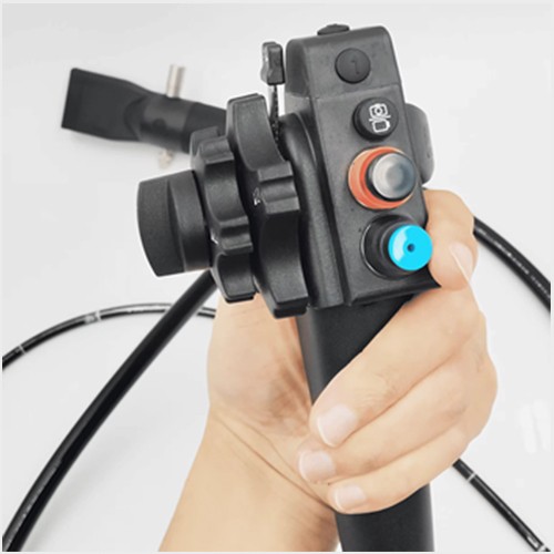 Gastroscopy