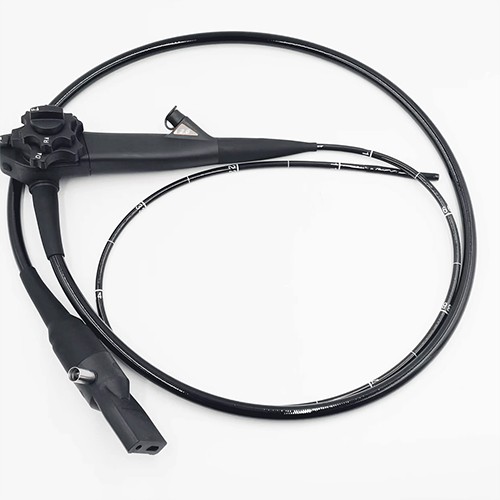 Gastroscopy
