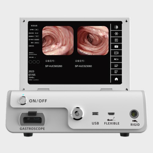 Gastroscopy