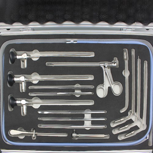 Rigid Endoscope
